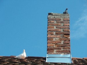 chimney-maintenance-houston-tx-lords-chimney