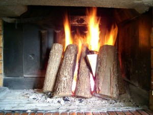 Wood Burning Near Fireplace - Houston TX - Lords Chimney