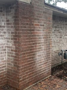 brick wall with efflorescence 