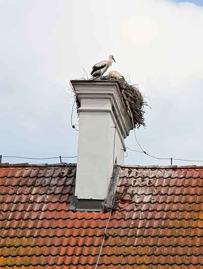 Very large bird nest with white and black crane on white chimney with tile roof.