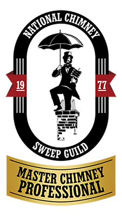 Master Chimney Professional Logo